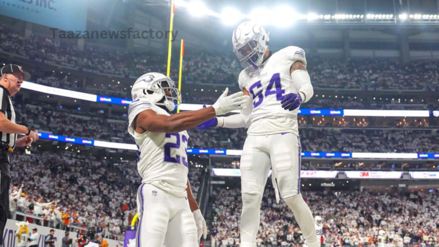 minnesota vikings