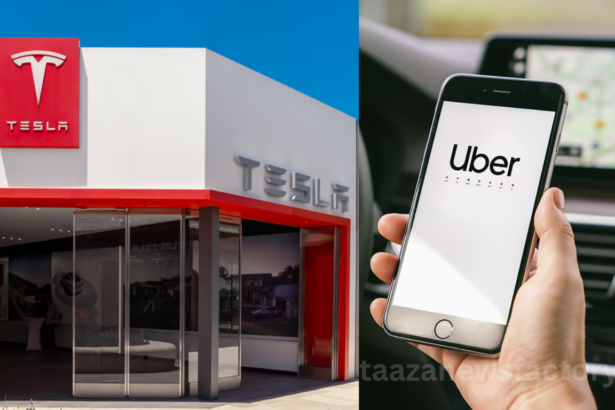 Tesla Robotaxi