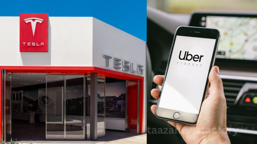 Tesla Robotaxi