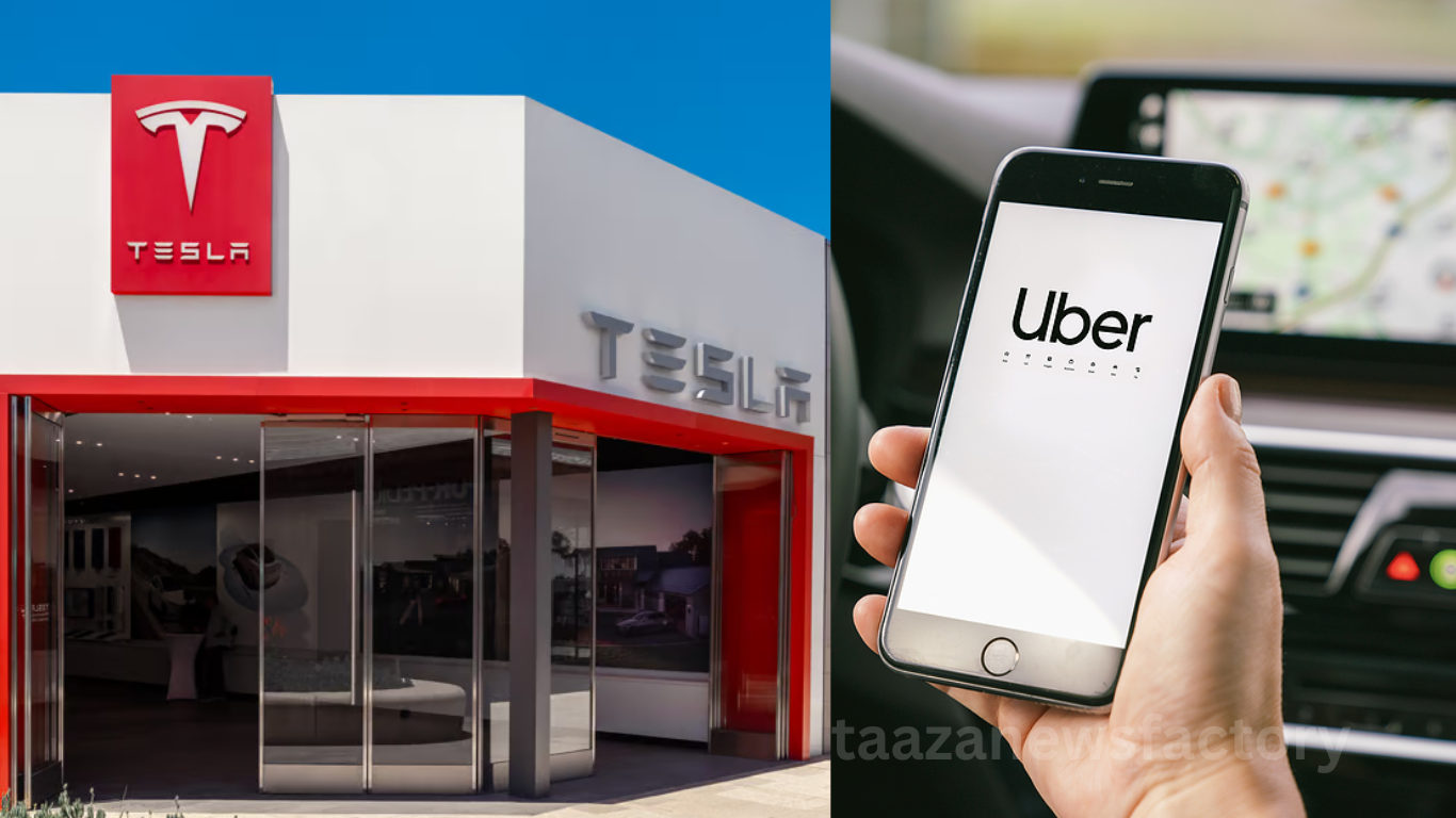 Tesla Robotaxi